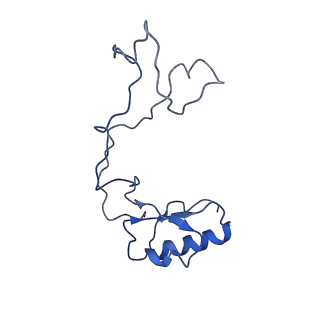 12633_7nwi_e_v1-2
Mammalian pre-termination 80S ribosome with Empty-A site bound by Blasticidin S