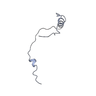 12633_7nwi_ee_v1-2
Mammalian pre-termination 80S ribosome with Empty-A site bound by Blasticidin S