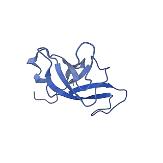 12633_7nwi_f_v1-2
Mammalian pre-termination 80S ribosome with Empty-A site bound by Blasticidin S