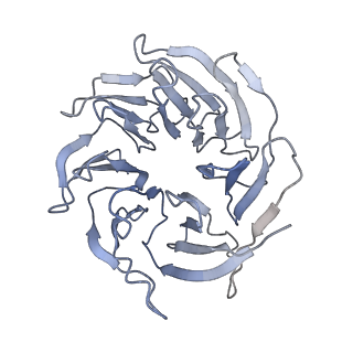 12633_7nwi_gg_v1-2
Mammalian pre-termination 80S ribosome with Empty-A site bound by Blasticidin S