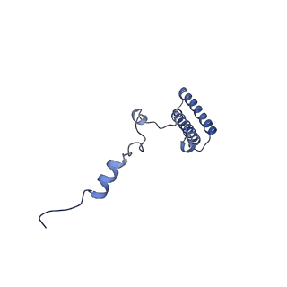 12633_7nwi_h_v1-2
Mammalian pre-termination 80S ribosome with Empty-A site bound by Blasticidin S