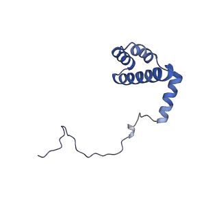 12633_7nwi_i_v1-2
Mammalian pre-termination 80S ribosome with Empty-A site bound by Blasticidin S