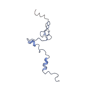12633_7nwi_j_v1-2
Mammalian pre-termination 80S ribosome with Empty-A site bound by Blasticidin S
