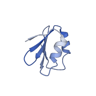 12633_7nwi_k_v1-2
Mammalian pre-termination 80S ribosome with Empty-A site bound by Blasticidin S