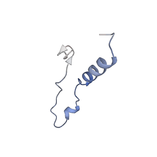 12633_7nwi_l_v1-2
Mammalian pre-termination 80S ribosome with Empty-A site bound by Blasticidin S