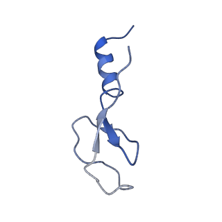 12633_7nwi_m_v1-2
Mammalian pre-termination 80S ribosome with Empty-A site bound by Blasticidin S