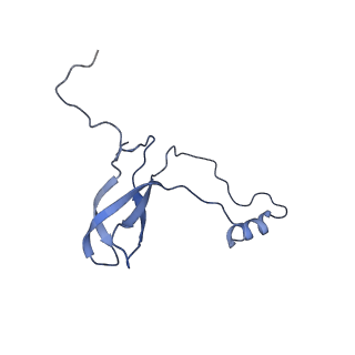 12633_7nwi_o_v1-2
Mammalian pre-termination 80S ribosome with Empty-A site bound by Blasticidin S