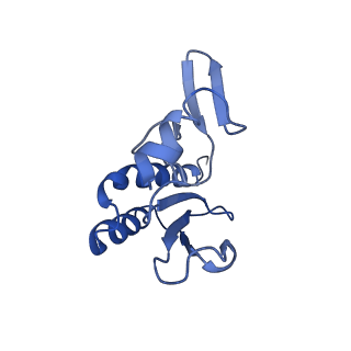 12633_7nwi_r_v1-2
Mammalian pre-termination 80S ribosome with Empty-A site bound by Blasticidin S