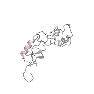 12633_7nwi_t_v1-2
Mammalian pre-termination 80S ribosome with Empty-A site bound by Blasticidin S