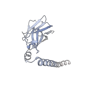12634_7nwl_D_v1-0
Cryo-EM structure of human integrin alpha5beta1 (open form) in complex with fibronectin and TS2/16 Fv-clasp