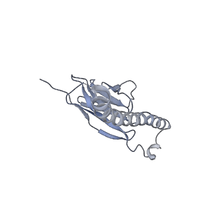 12634_7nwl_E_v1-0
Cryo-EM structure of human integrin alpha5beta1 (open form) in complex with fibronectin and TS2/16 Fv-clasp