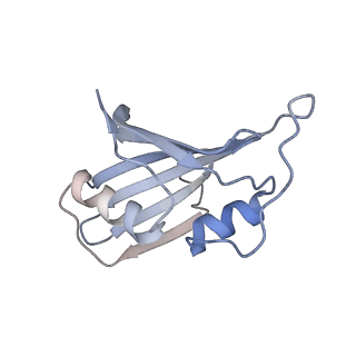 12635_7nwt_AA_v1-0
Initiated 70S ribosome in complex with 2A protein from encephalomyocarditis virus (EMCV)