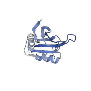 12635_7nwt_BB_v1-0
Initiated 70S ribosome in complex with 2A protein from encephalomyocarditis virus (EMCV)