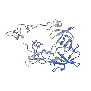 12635_7nwt_B_v1-0
Initiated 70S ribosome in complex with 2A protein from encephalomyocarditis virus (EMCV)