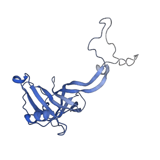 12635_7nwt_C_v1-0
Initiated 70S ribosome in complex with 2A protein from encephalomyocarditis virus (EMCV)