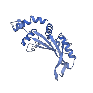 12635_7nwt_E_v1-0
Initiated 70S ribosome in complex with 2A protein from encephalomyocarditis virus (EMCV)