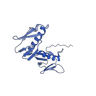 12635_7nwt_F_v1-0
Initiated 70S ribosome in complex with 2A protein from encephalomyocarditis virus (EMCV)