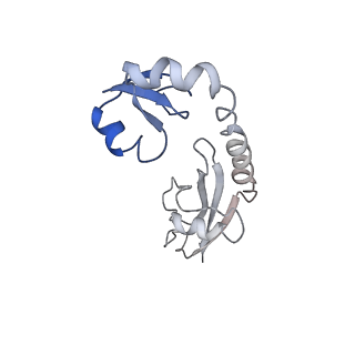 12635_7nwt_G_v1-0
Initiated 70S ribosome in complex with 2A protein from encephalomyocarditis virus (EMCV)