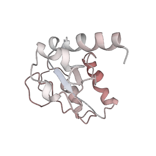 12635_7nwt_H_v1-0
Initiated 70S ribosome in complex with 2A protein from encephalomyocarditis virus (EMCV)