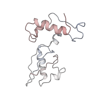 12635_7nwt_I_v1-0
Initiated 70S ribosome in complex with 2A protein from encephalomyocarditis virus (EMCV)