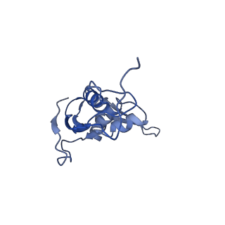 12635_7nwt_J_v1-0
Initiated 70S ribosome in complex with 2A protein from encephalomyocarditis virus (EMCV)