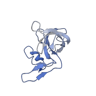 12635_7nwt_K_v1-0
Initiated 70S ribosome in complex with 2A protein from encephalomyocarditis virus (EMCV)