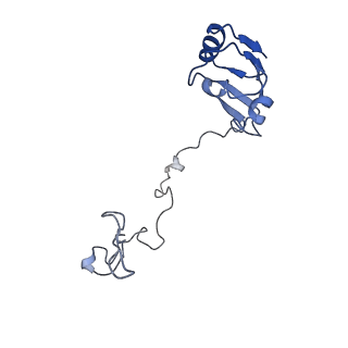 12635_7nwt_L_v1-0
Initiated 70S ribosome in complex with 2A protein from encephalomyocarditis virus (EMCV)