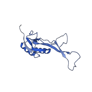 12635_7nwt_M_v1-0
Initiated 70S ribosome in complex with 2A protein from encephalomyocarditis virus (EMCV)