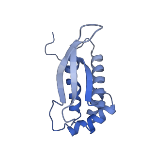 12635_7nwt_N_v1-0
Initiated 70S ribosome in complex with 2A protein from encephalomyocarditis virus (EMCV)