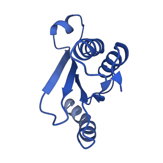 12635_7nwt_O_v1-0
Initiated 70S ribosome in complex with 2A protein from encephalomyocarditis virus (EMCV)