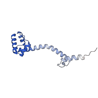 12635_7nwt_Q_v1-0
Initiated 70S ribosome in complex with 2A protein from encephalomyocarditis virus (EMCV)