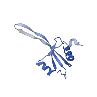 12635_7nwt_T_v1-0
Initiated 70S ribosome in complex with 2A protein from encephalomyocarditis virus (EMCV)