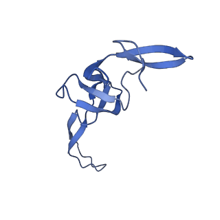 12635_7nwt_U_v1-0
Initiated 70S ribosome in complex with 2A protein from encephalomyocarditis virus (EMCV)