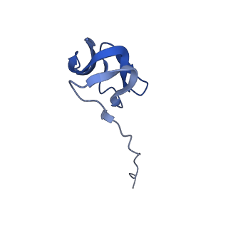 12635_7nwt_W_v1-0
Initiated 70S ribosome in complex with 2A protein from encephalomyocarditis virus (EMCV)