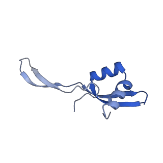 12635_7nwt_X_v1-0
Initiated 70S ribosome in complex with 2A protein from encephalomyocarditis virus (EMCV)