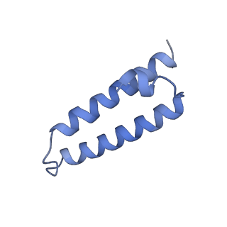 12635_7nwt_Y_v1-0
Initiated 70S ribosome in complex with 2A protein from encephalomyocarditis virus (EMCV)