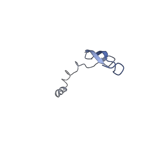 12635_7nwt_a_v1-0
Initiated 70S ribosome in complex with 2A protein from encephalomyocarditis virus (EMCV)