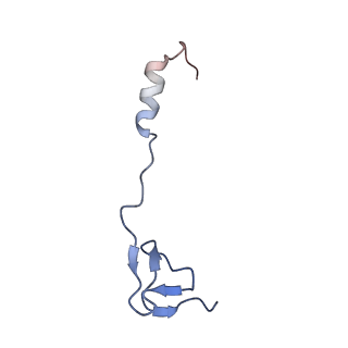 12635_7nwt_b_v1-0
Initiated 70S ribosome in complex with 2A protein from encephalomyocarditis virus (EMCV)