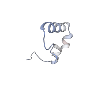 12635_7nwt_d_v1-0
Initiated 70S ribosome in complex with 2A protein from encephalomyocarditis virus (EMCV)