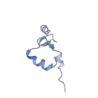12635_7nwt_e_v1-0
Initiated 70S ribosome in complex with 2A protein from encephalomyocarditis virus (EMCV)