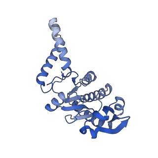 12635_7nwt_g_v1-0
Initiated 70S ribosome in complex with 2A protein from encephalomyocarditis virus (EMCV)