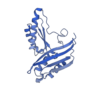 12635_7nwt_h_v1-0
Initiated 70S ribosome in complex with 2A protein from encephalomyocarditis virus (EMCV)
