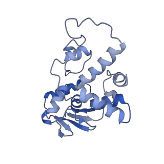12635_7nwt_i_v1-0
Initiated 70S ribosome in complex with 2A protein from encephalomyocarditis virus (EMCV)