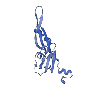 12635_7nwt_j_v1-0
Initiated 70S ribosome in complex with 2A protein from encephalomyocarditis virus (EMCV)