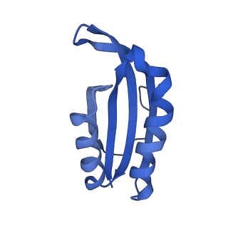 12635_7nwt_k_v1-0
Initiated 70S ribosome in complex with 2A protein from encephalomyocarditis virus (EMCV)