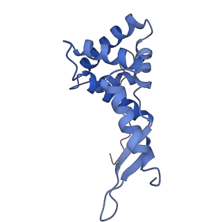12635_7nwt_l_v1-0
Initiated 70S ribosome in complex with 2A protein from encephalomyocarditis virus (EMCV)