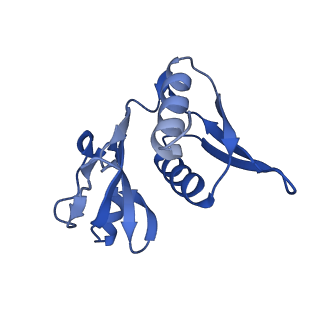 12635_7nwt_m_v1-0
Initiated 70S ribosome in complex with 2A protein from encephalomyocarditis virus (EMCV)