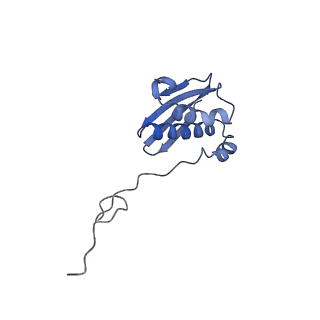 12635_7nwt_n_v1-0
Initiated 70S ribosome in complex with 2A protein from encephalomyocarditis virus (EMCV)