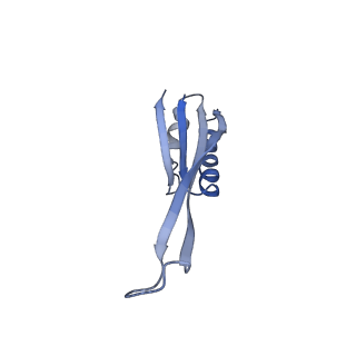 12635_7nwt_o_v1-0
Initiated 70S ribosome in complex with 2A protein from encephalomyocarditis virus (EMCV)