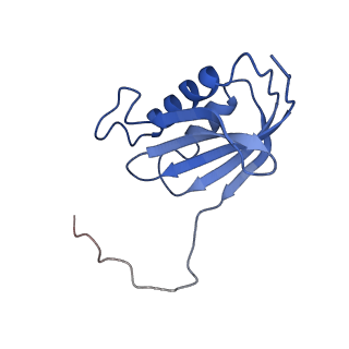12635_7nwt_p_v1-0
Initiated 70S ribosome in complex with 2A protein from encephalomyocarditis virus (EMCV)